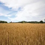 Casa de Férias Podere Giovannini *
