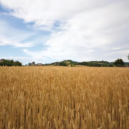 Feriehus Podere Giovannini *
